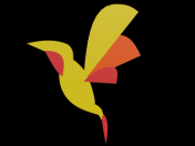 Colibri poligonal abstracto