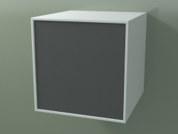 Box (8AUACB03, Gletscherweiß C01, HPL P05, L 48, P 50, H 48 cm)