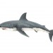 3D Modell Hai - Vorschau