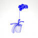 3 डी Phalaenopsis आर्किड मॉडल खरीद - रेंडर