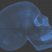 modello 3D di Cranio regalo con floreale modello comprare - rendering