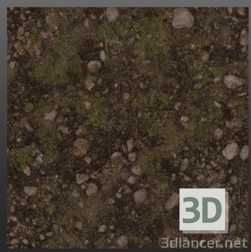 Texture download gratuito di Fango della foresta - immagine