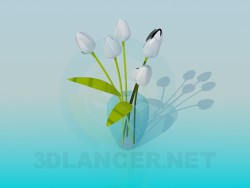 Florero con tulipanes blancos