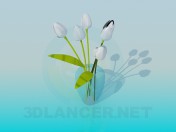 Florero con tulipanes blancos