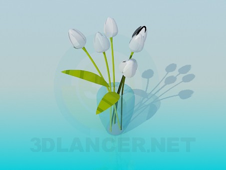 3D Modell Vase mit weißen Tulpen - Vorschau