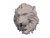 testa di leone frontale