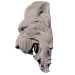 modèle 3D de Lion. un lion acheter - rendu