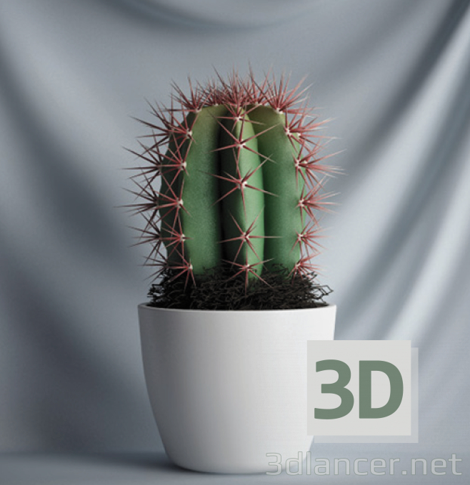 modello 3D Cactus - anteprima