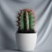 modèle 3D Cactus - preview