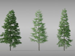 Varios modelos de pinos