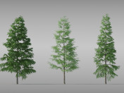 Varios modelos de pinos