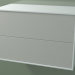 3d модель Ящик двойной (8AUCCA01, Glacier White C01, HPL P02, L 72, P 36, H 48 cm) – превью