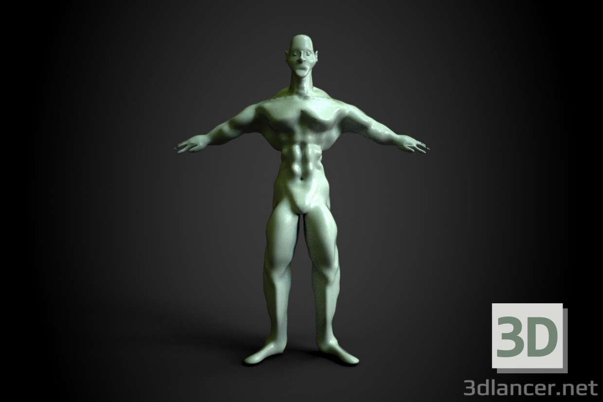 modello 3D Umano - anteprima