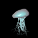 3d модель медуза – превью