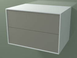 Ящик подвійний (8AUCCB01, Glacier White C01, HPL P04, L 72, P 50, H 48 cm)