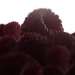 RASPBERRIES в 3d max vray 2.0 изображение