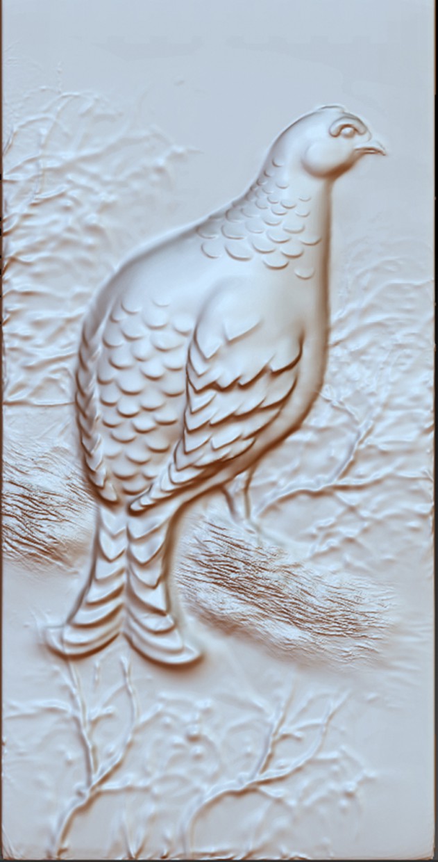 Oiseau dans ZBrush Other image