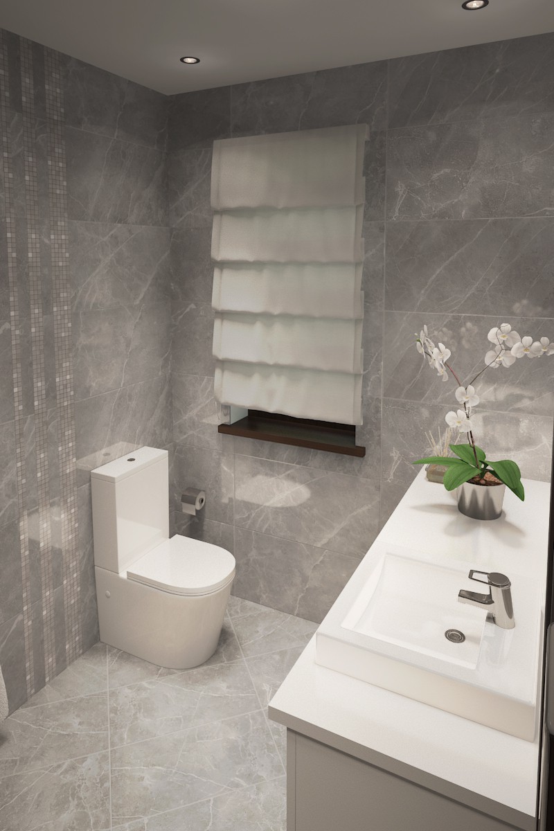 3d visualization Lavatory