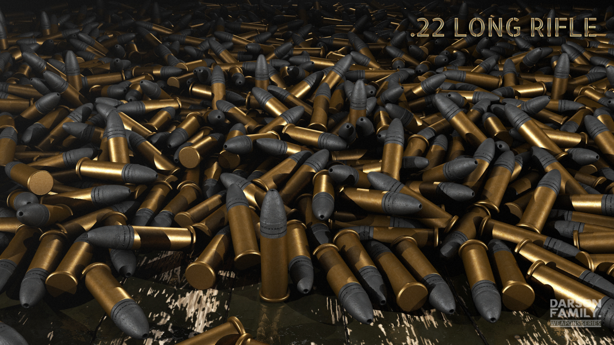 .22 Long Rifle True Model in Cinema 4d Other image