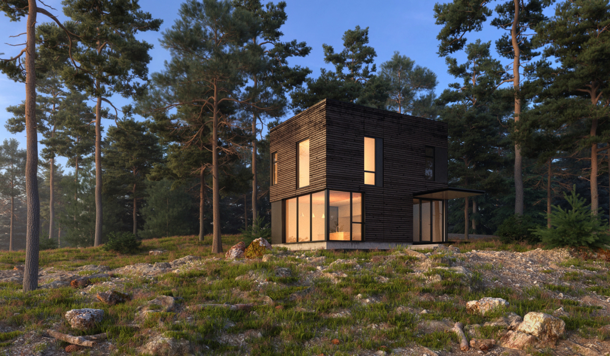 Forest house in 3d max vray 3.0 image