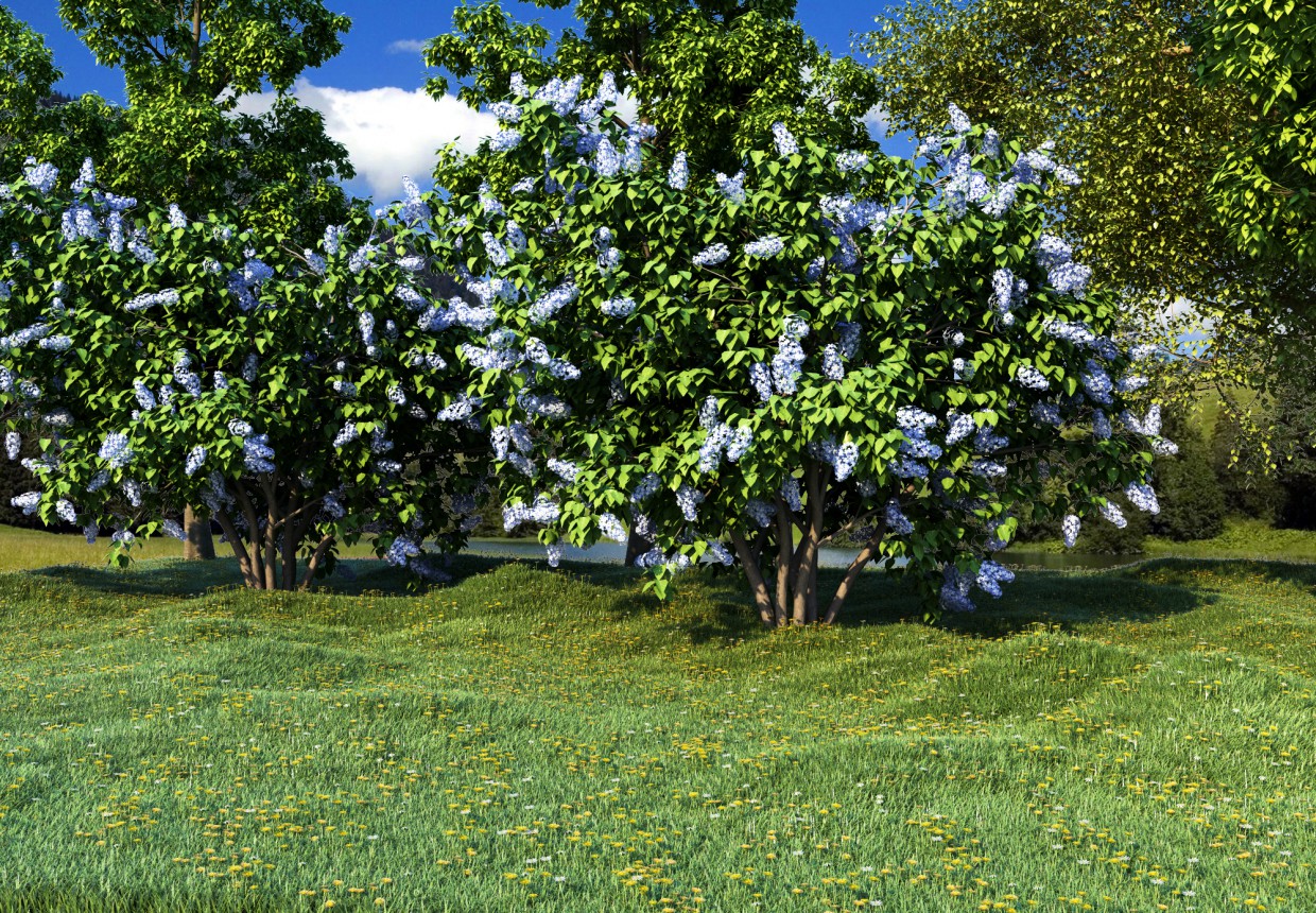nature in 3d max corona render image