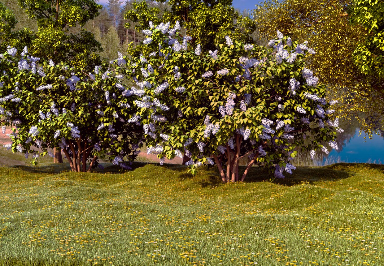 nature nature in 3d max corona render image