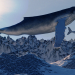 baleia em Blender cycles render imagem