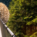Nest für Menschen Nest für Menschen in 3d max corona render Bild