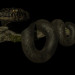 Common swamp in 3d max corona render image