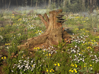 Such is the stump