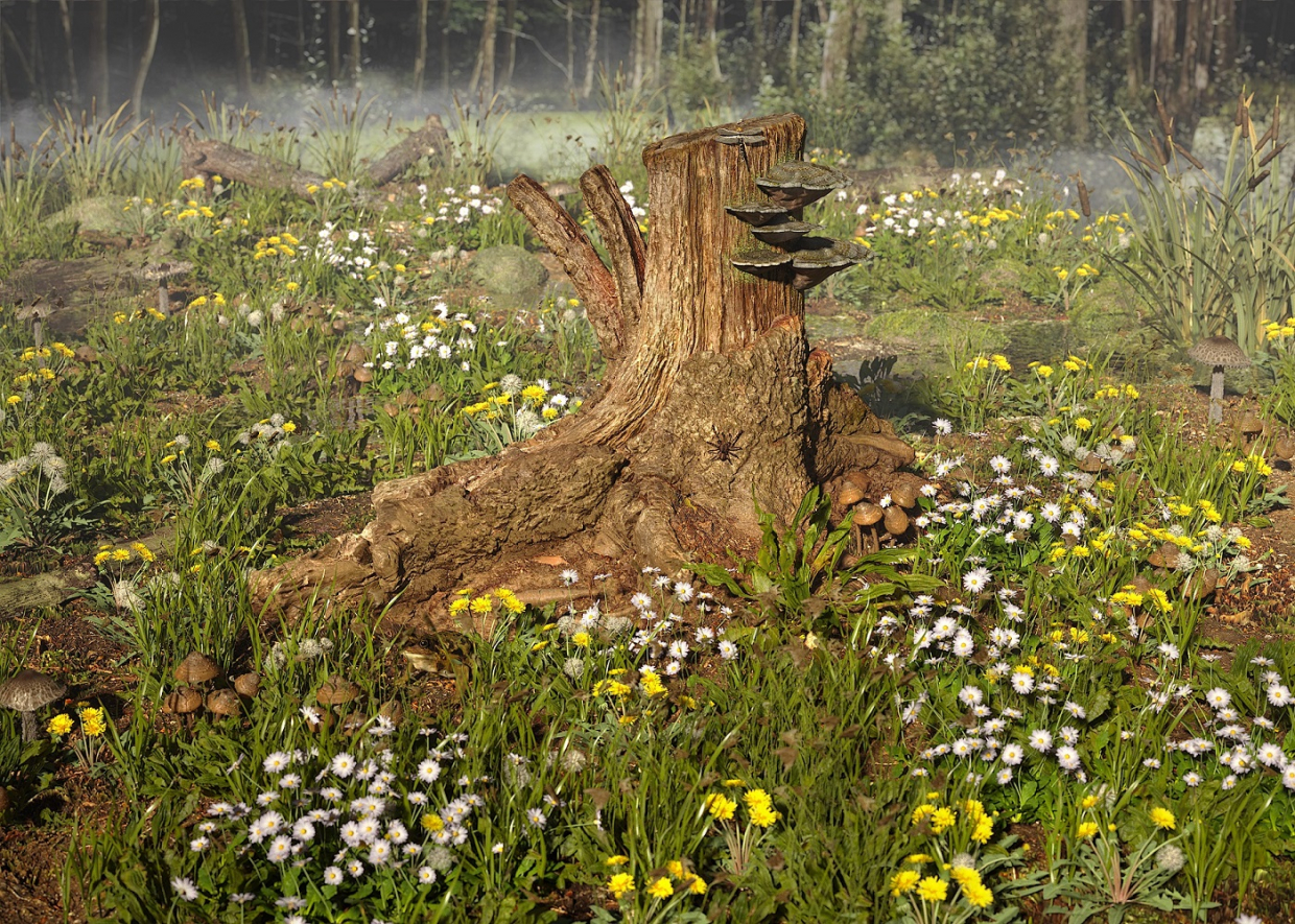 Such is the stump in 3d max corona render image