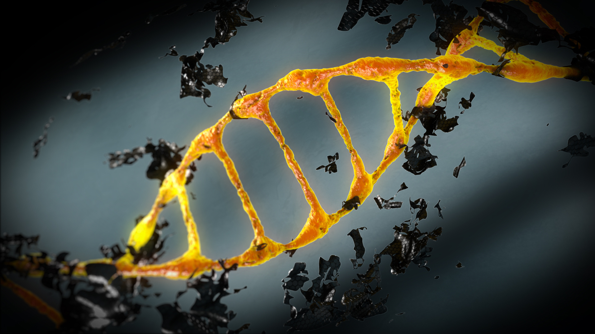 3d visualization DNK | 3dlancer.net