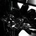 Kristall-Blumen in 3d max mental ray Bild