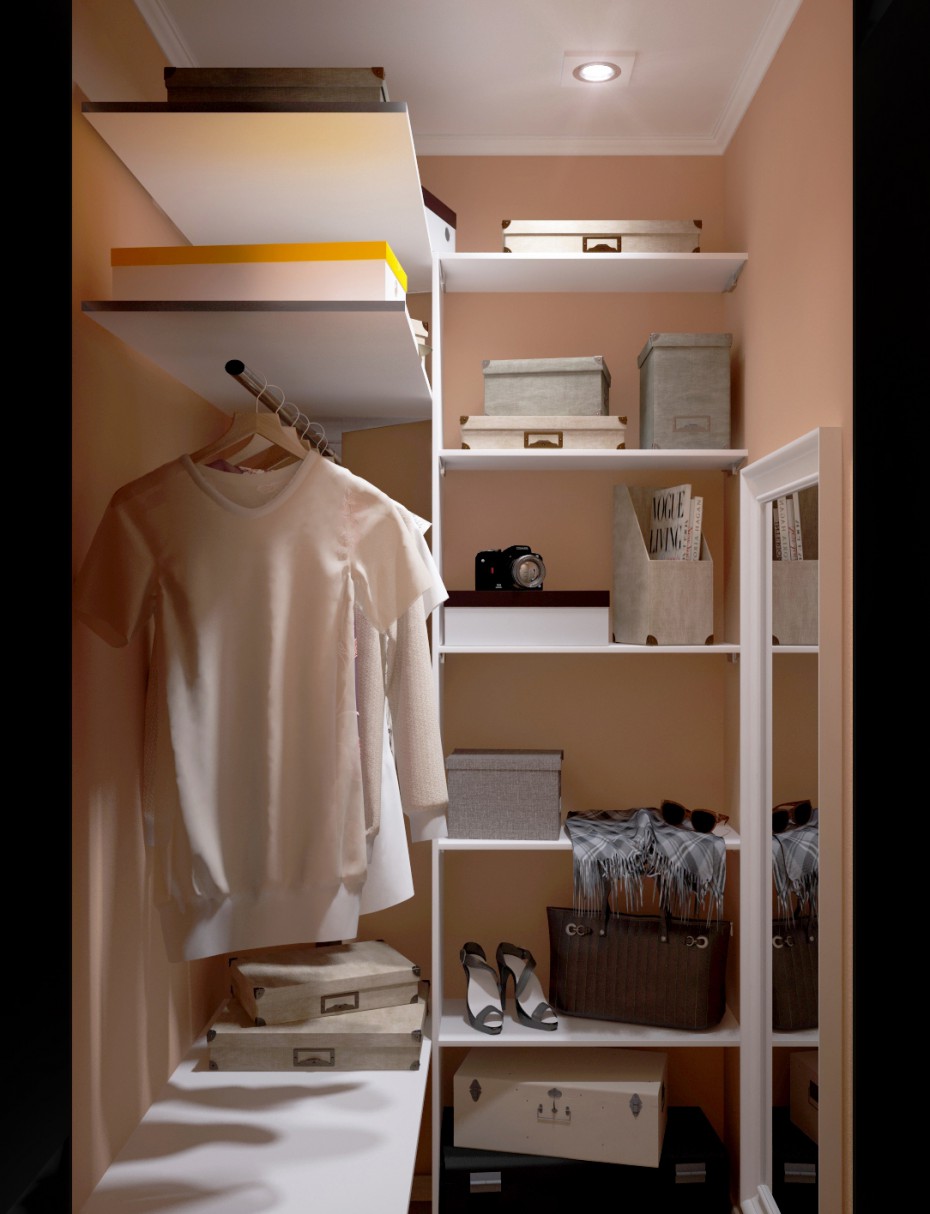 Walk-In Closet imagen de Walk-In Closet en 3d max vray