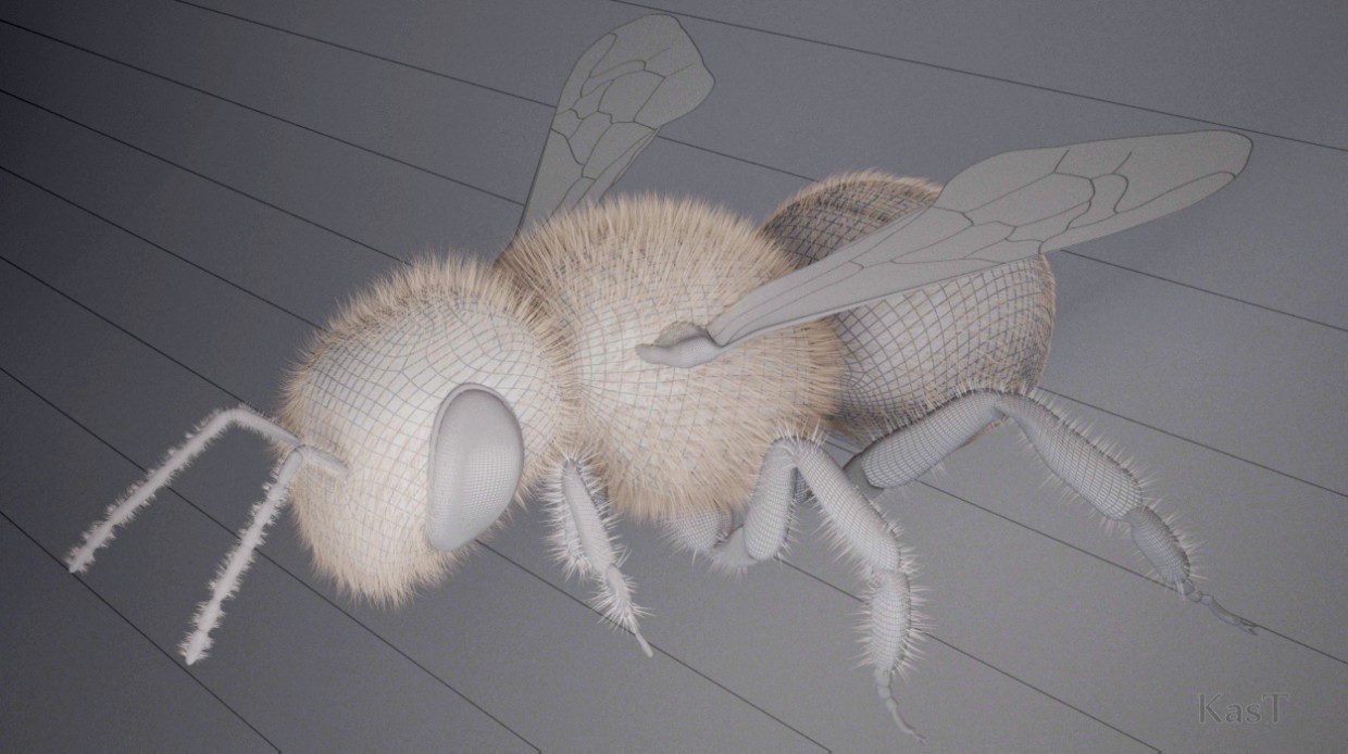 bee bee in 3d max vray image