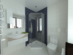 Guest bathroom (small house in Odessa)