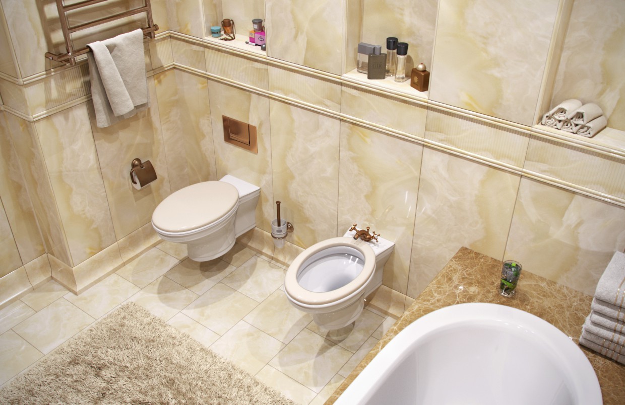 Bath Bath in 3d max corona render image