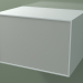 modèle 3D Boîte (8AUCCB03, Blanc Glacier C01, HPL P02, L 72, P 50, H 48 cm) - preview