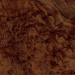 Texture slice of American walnut burl-69 free download - image