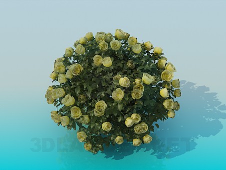 3d модель Пишний кущ троянд – превью 3d модель Пишний кущ троянд – превью