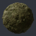 Moss Surface buy texture for 3d max