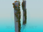 Columns with vines rose