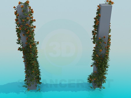 modelo 3D Columnas con vides rosa - escuchar modelo 3D Columnas con vides rosa - escuchar