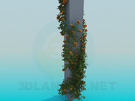 modelo 3D Columnas con vides rosa - escuchar modelo 3D Columnas con vides rosa - escuchar