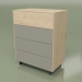 3d model Chest of drawers CN 300 (Champagne, Gray) - preview