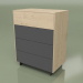 3d model Chest of drawers CN 300 (Champagne, Anthracite) - preview