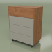 3d model Chest of drawers CN 300 (Walnut, Gray) - preview