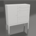 modèle 3D Grande commode statique (option 10) - preview