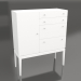 modèle 3D Grande commode statique (option 11) - preview