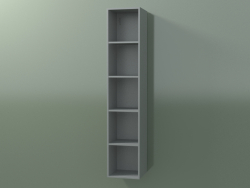 Wall tall cabinet (8DUADС01, Silver Gray C35, L 24, P 24, H 120 cm)